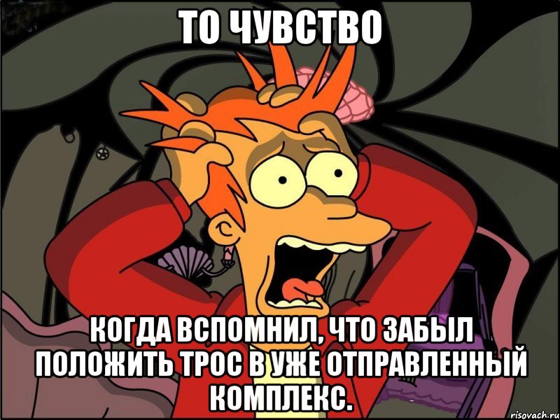 То чувство Когда вспомнил, что забыл положить трос в уже отправленный комплекс., Мем Фрай в панике