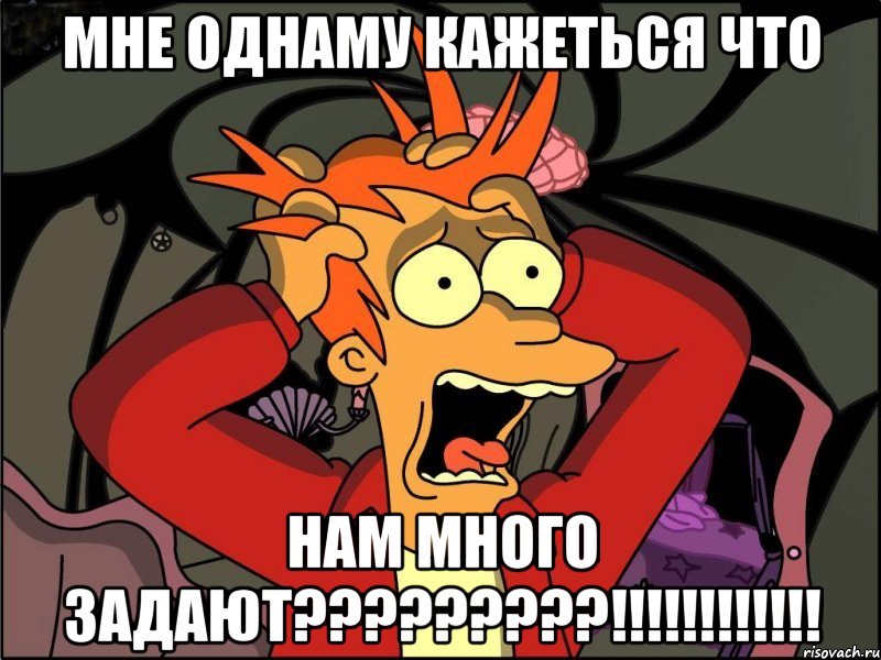 Мне однаму кажеться что нам много задают?????????!!!!!!!!!!!!, Мем Фрай в панике