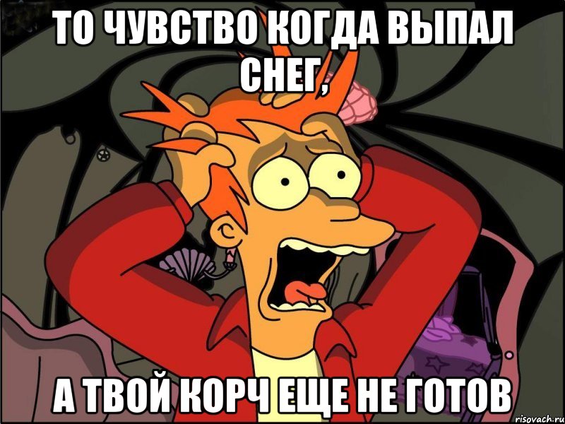 то чувство когда выпал снег, а твой корч еще не готов, Мем Фрай в панике