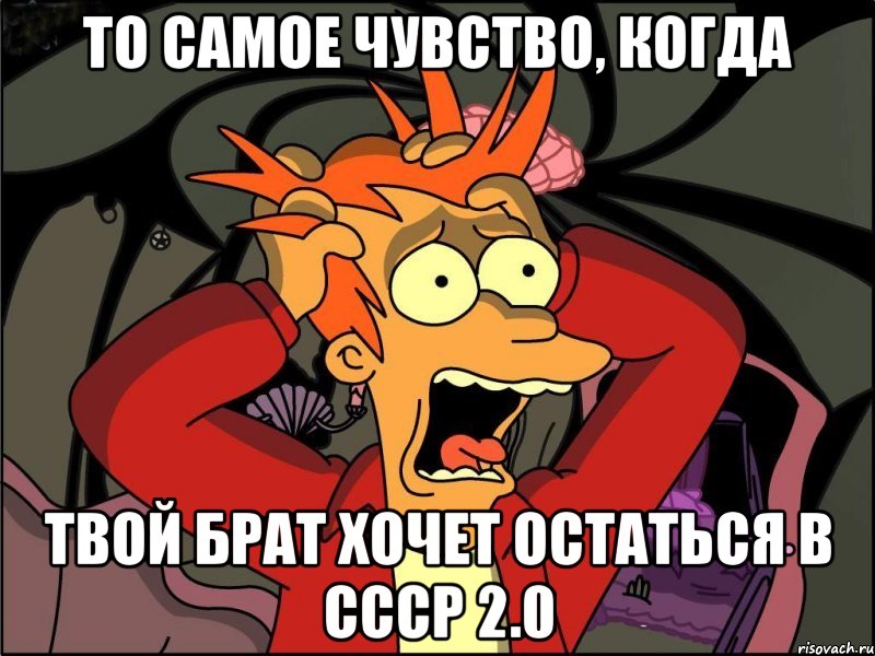 То самое чувство, когда твой брат хочет остаться в СССР 2.0, Мем Фрай в панике