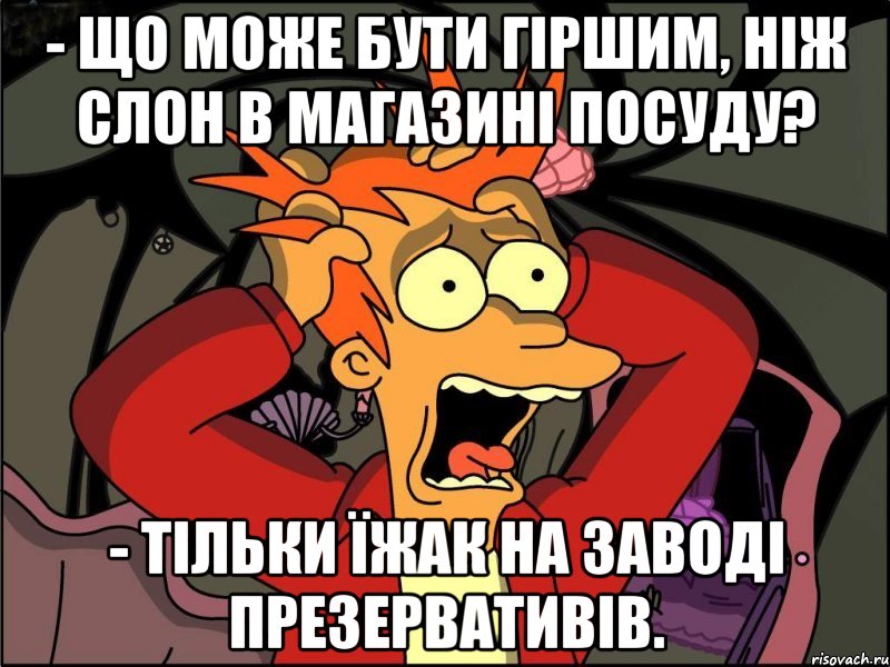 - Що може бути гіршим, ніж слон в магазині посуду? - Тільки їжак на заводі презервативів., Мем Фрай в панике