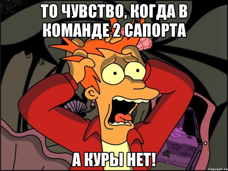 то чувство, когда в команде 2 сапорта а куры НЕТ!, Мем Фрай в панике