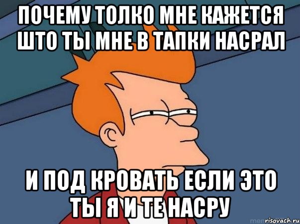 почему толко мне кажется што ты мне в тапки насрал и под кровать если это ты я и те насру, Мем  Фрай (мне кажется или)