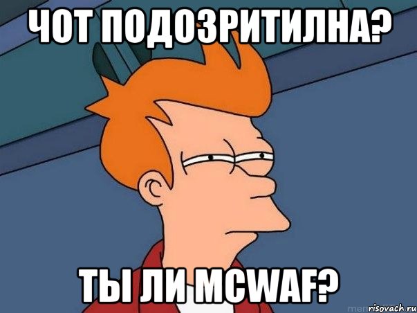 Чот подозритилна? Ты ли McWaf?, Мем  Фрай (мне кажется или)