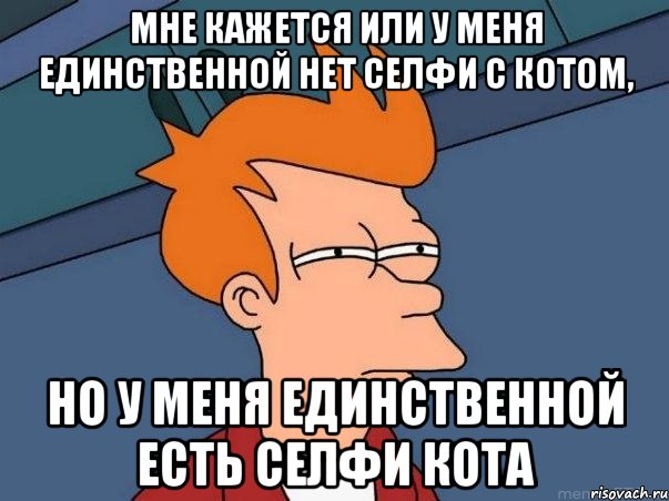 Мне кажется или у меня единственной нет селфи с котом, но у меня единственной есть селфи кота, Мем  Фрай (мне кажется или)