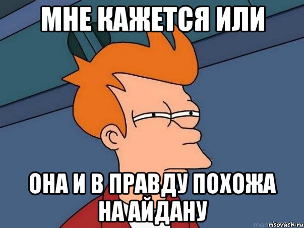 МНЕ КАЖЕТСЯ ИЛИ ОНА И В ПРАВДУ ПОХОЖА НА АЙДАНУ, Мем  Фрай (мне кажется или)