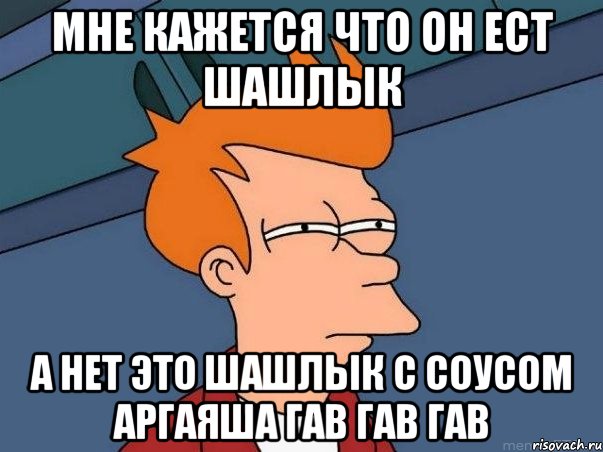 Мне кажется что он ест шашлык а нет это шашлык с соусом аргаяша гав гав гав, Мем  Фрай (мне кажется или)