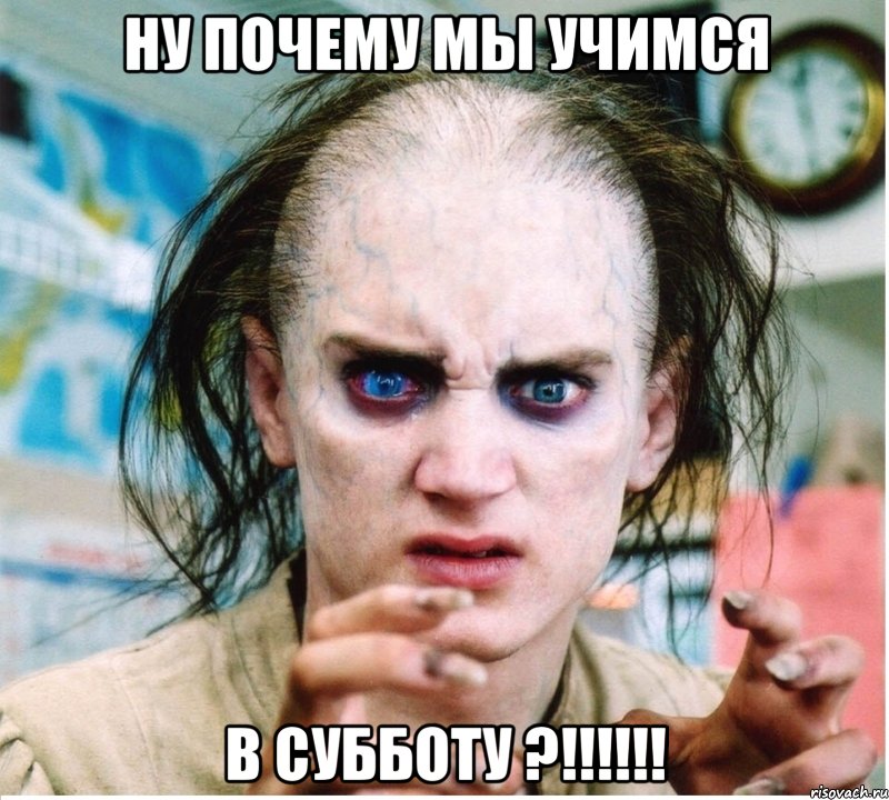 ну почему мы учимся В субботу ?!!!!!!, Мем фродум