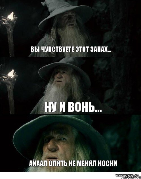 вы чувствуете этот запах... ну и вонь... Айаал опять не менял носки, Комикс Гендальф заблудился