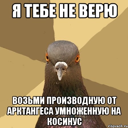 Я тебе не верю Возьми производную от арктангеса умноженную на косинус, Мем голубь