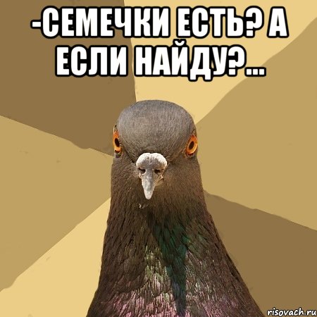 -семечки есть? а если найду?... , Мем голубь