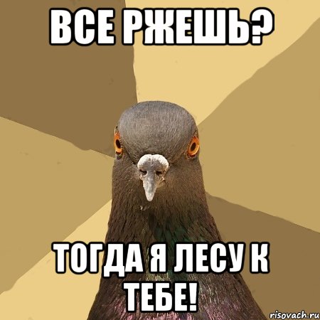 Все ржешь? Тогда я лесу к тебе!, Мем голубь