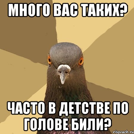 Много вас таких? Часто в детстве по голове били?, Мем голубь