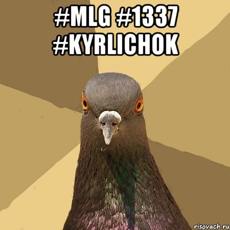 #mlg #1337 #kyrlichok , Мем голубь