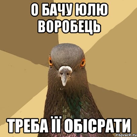 О бАЧУ ЮЛЮ ВОРОБЕЦЬ треба її обісрати, Мем голубь