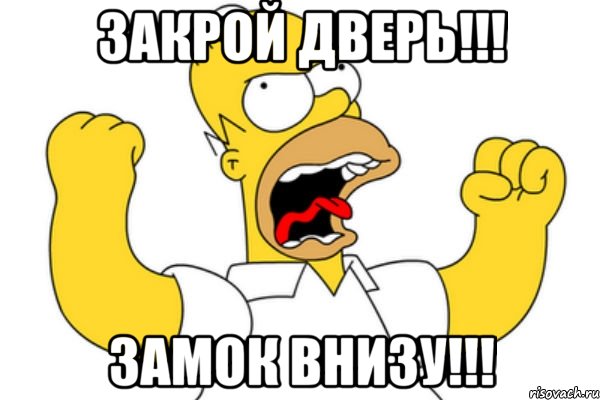 закрой дверь!!! замок внизу!!!, Мем Разъяренный Гомер