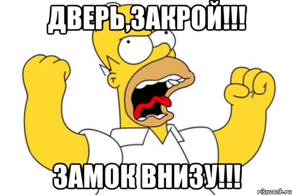 дверь,закрой!!! замок внизу!!!, Мем Разъяренный Гомер