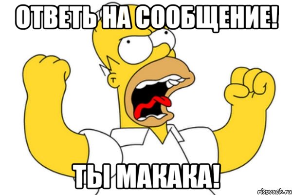 Ответь на сообщение! ТЫ МАКАКА!, Мем Разъяренный Гомер