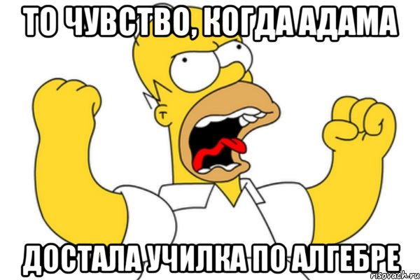 То чувство, когда Адама Достала училка по алгебре, Мем Разъяренный Гомер