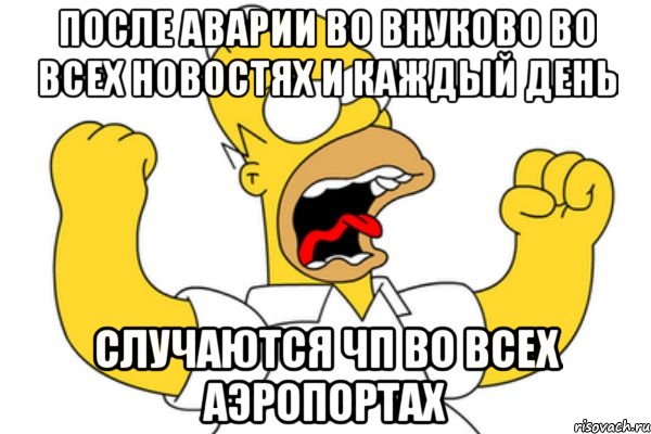 после аварии во Внуково во всех новостях и каждый день случаются ЧП во всех аэропортах, Мем Разъяренный Гомер