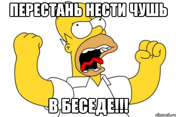 Перестань нести чушь в беседе!!!, Мем Разъяренный Гомер