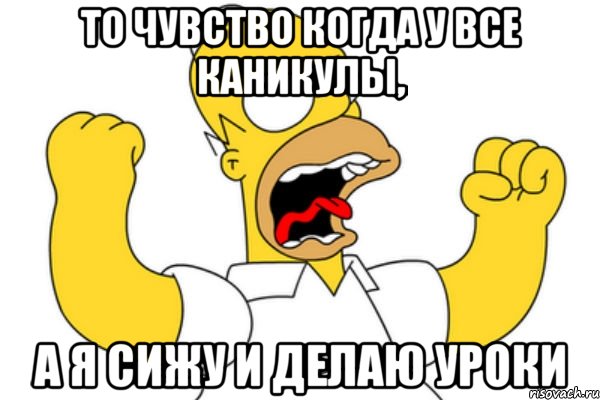 То чувство когда у все каникулы, а я сижу и делаю уроки, Мем Разъяренный Гомер