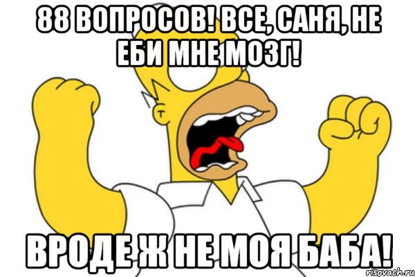 88 вопросов! Все, Саня, не еби мне мозг! Вроде ж не моя баба!, Мем Разъяренный Гомер