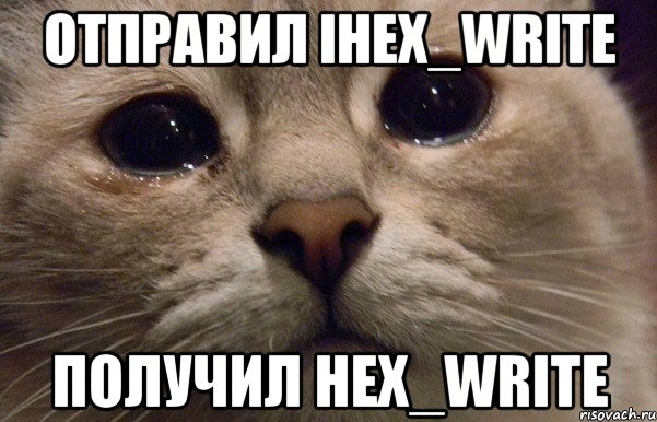 Отправил ihex_write Получил hex_write, Мем   В мире грустит один котик