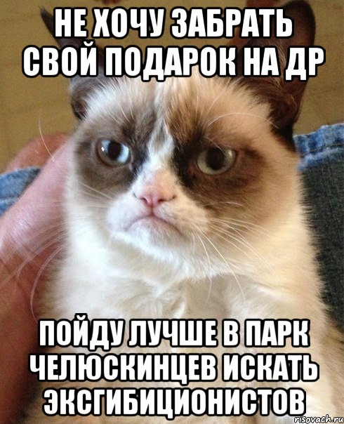 не хочу забрать свой подарок на ДР пойду лучше в парк челюскинцев искать эксгибиционистов