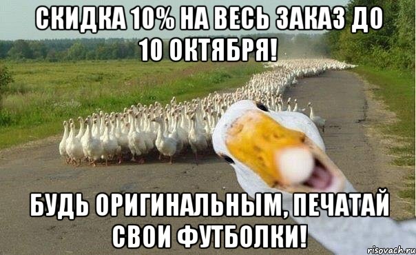 Скидка 10% на весь заказ до 10 октября! Будь оригинальным, печатай свои футболки!, Мем гуси