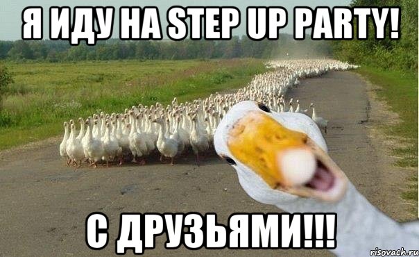 Я иду на Step Up Party! С друзьями!!!, Мем гуси