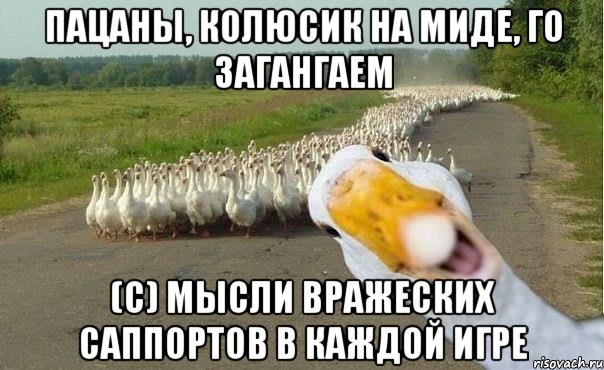 Пацаны, колюсик на миде, го загангаем (с) Мысли вражеских саппортов в каждой игре, Мем гуси