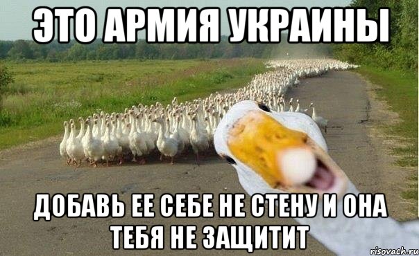 Это армия Украины Добавь ее себе не стену и она тебя не защитит, Мем гуси