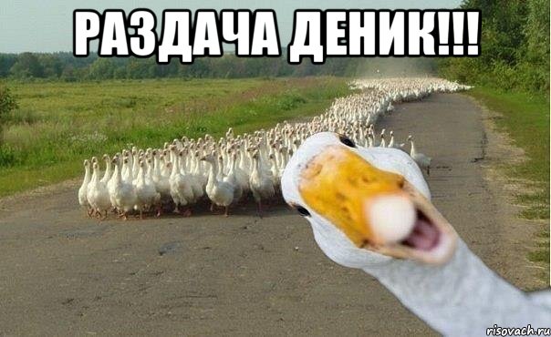 РАЗДАЧА ДЕНИК!!! , Мем гуси