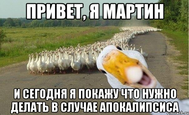 Привет, Я Мартин и сегодня я покажу что нужно делать в случае апокалипсиса, Мем гуси