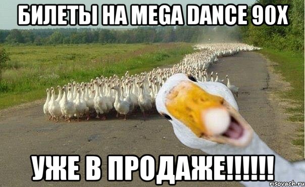 БИЛЕТЫ НА MEGA DANCE 90x УЖЕ В ПРОДАЖЕ!!!!!!, Мем гуси