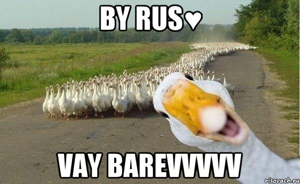 By Rus♥ Vay barevvvvv, Мем гуси