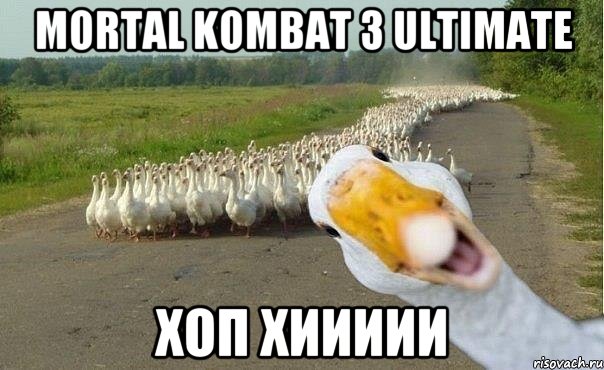 Mortal Kombat 3 ultimate Хоп хиииии, Мем гуси