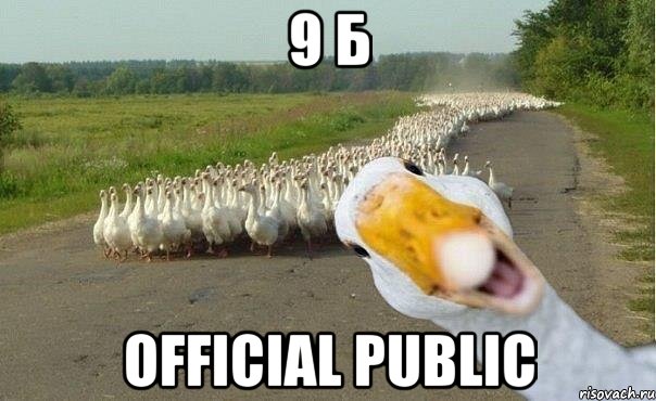 9 Б official public, Мем гуси