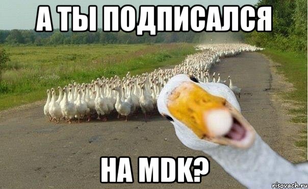 А ТЫ ПОДПИСАЛСЯ НА MDK?, Мем гуси