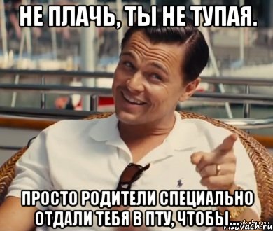 не плачь, ты не тупая. Просто родители специально отдали тебя в ПТУ, чтобы..., Мем Хитрый Гэтсби