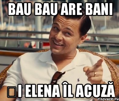 Bau bau are bani Și Elena îl acuză, Мем Хитрый Гэтсби