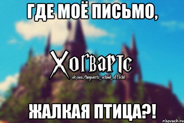 где моё письмо, жалкая птица?!, Мем Хогвартс