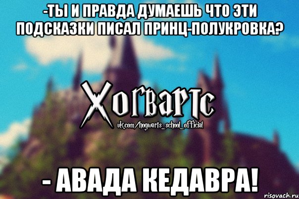 -Ты и правда думаешь что эти подсказки писал принц-полукровка? - АВАДА КЕДАВРА!, Мем Хогвартс