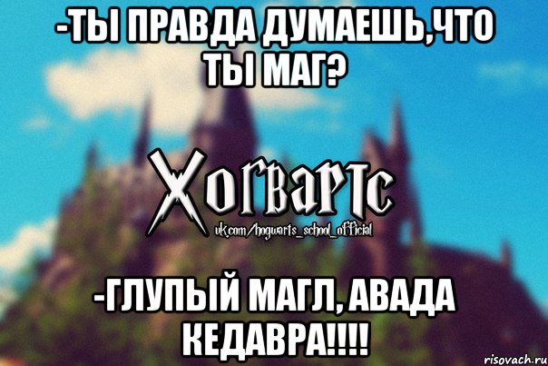 -ты правда думаешь,что ты маг? -глупый магл, АВАДА КЕДАВРА!!!!, Мем Хогвартс