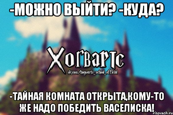 -Можно выйти? -Куда? -Тайная комната открыта,кому-то же надо победить Васелиска!, Мем Хогвартс