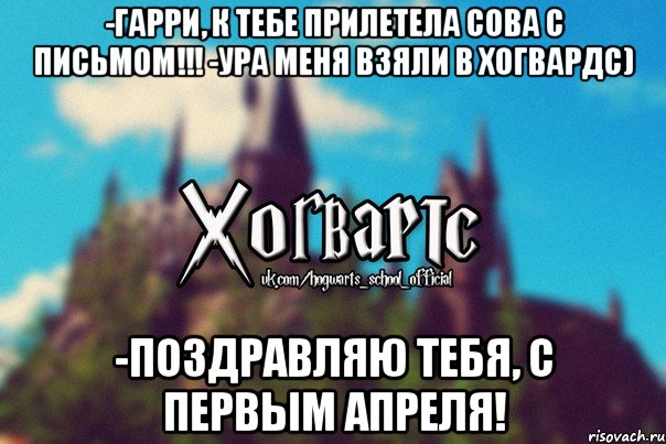 -Гарри, к тебе прилетела сова с письмом!!! -УРа меня взяли в Хогвардс) -Поздравляю тебя, С первым апреля!, Мем Хогвартс