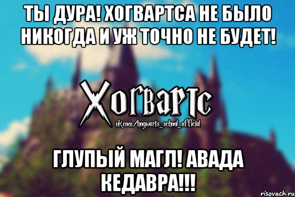 Ты дура! Хогвартса не было никогда и уж точно не будет! Глупый магл! АВАДА КЕДАВРА!!!, Мем Хогвартс