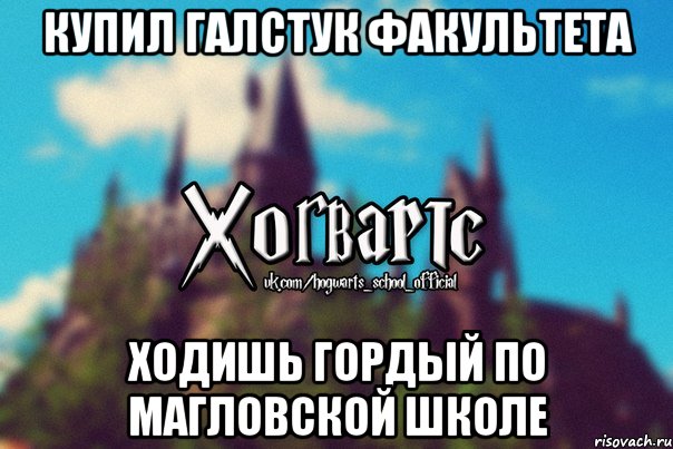 Купил галстук факультета Ходишь гордый по магловской школе, Мем Хогвартс