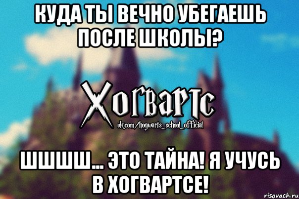 куда ты вечно убегаешь после школы? шшшш... это тайна! я учусь в ХОГВАРТСЕ!, Мем Хогвартс